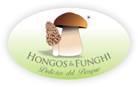 Hongos&Funghi